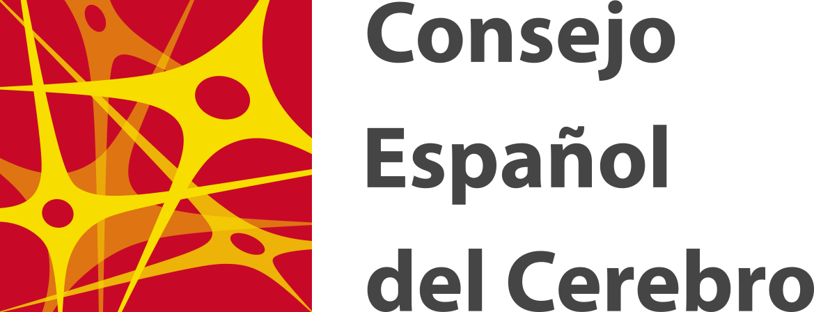 El Dr. David Ezpeleta, nuevo vicepresidente del Consejo Español del Cerebro